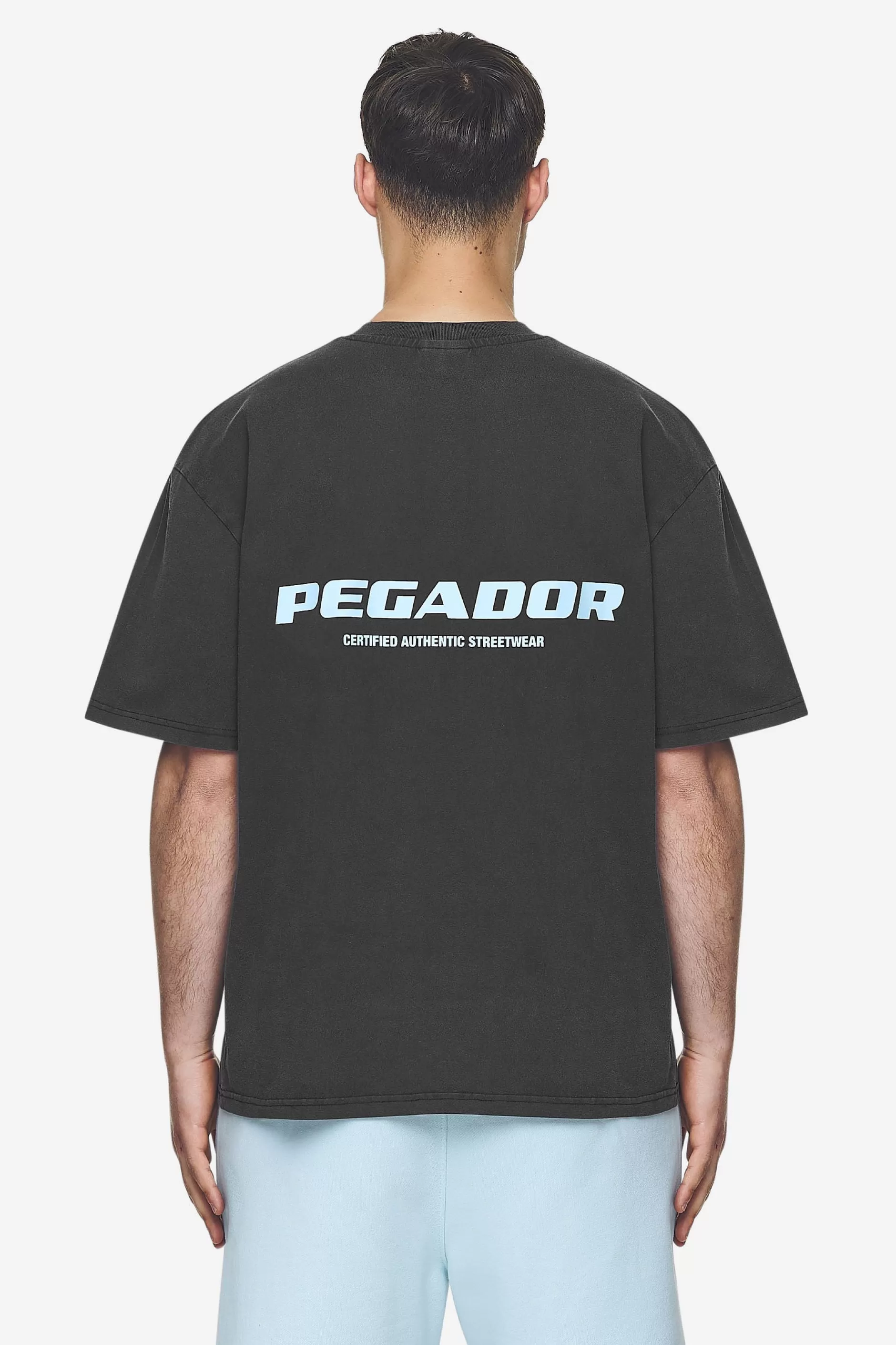 Sale Pegador Colne Logo Oversized Tee Baby Blue Vintage black