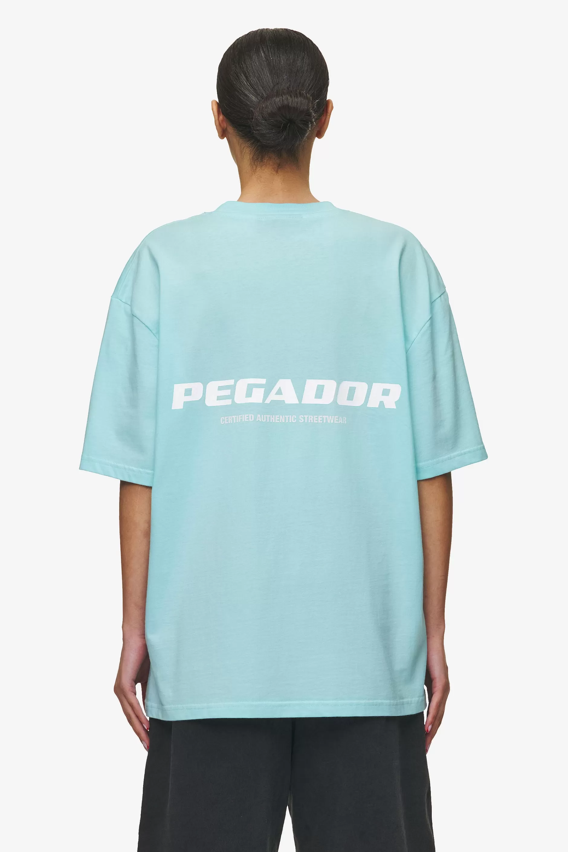 Fashion Pegador Colne Logo Oversized Tee White Washed sky blue