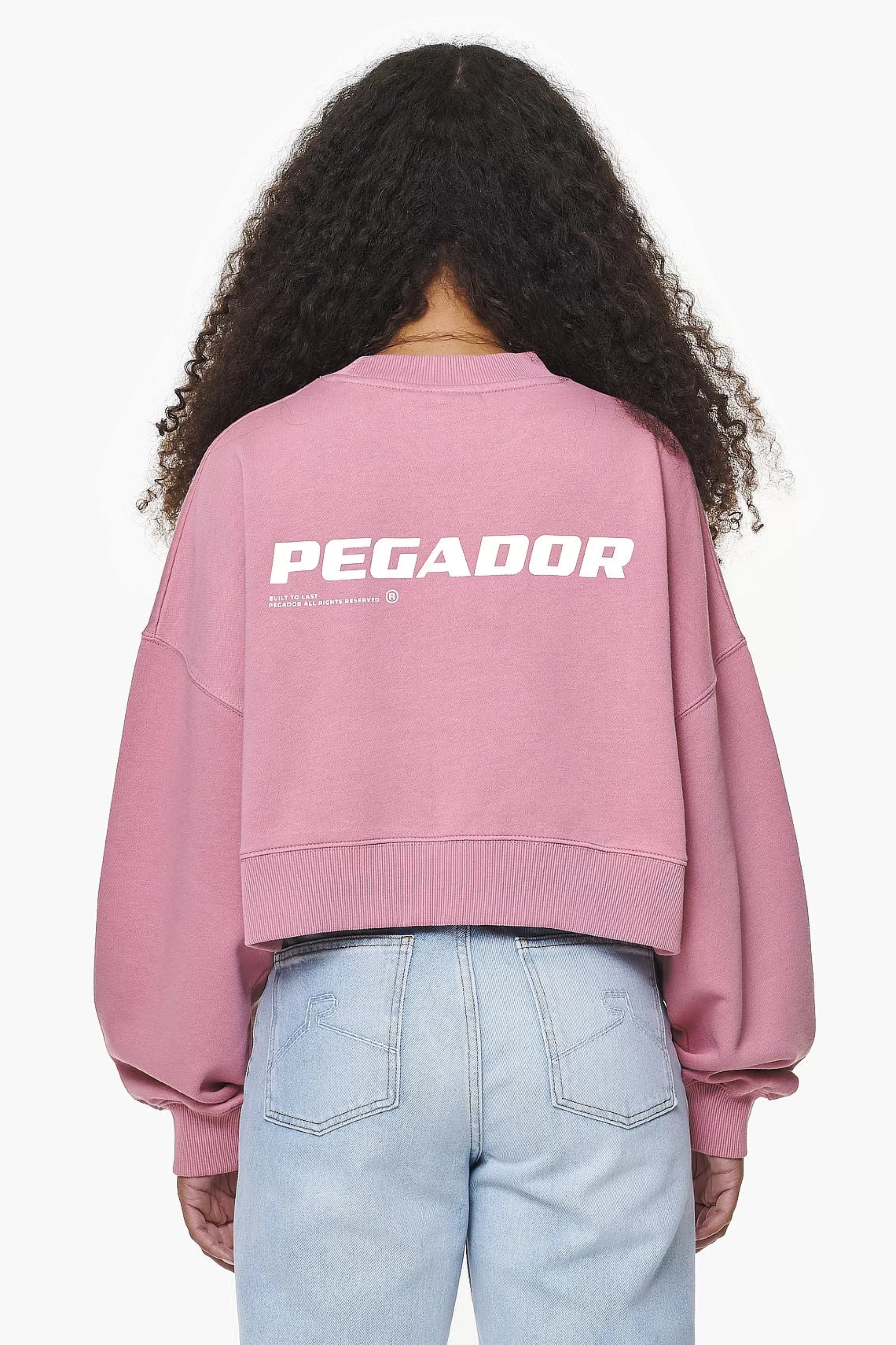Fashion Pegador Dorothy Cropped Oversized Sweater Vintage Washed Rust Pink