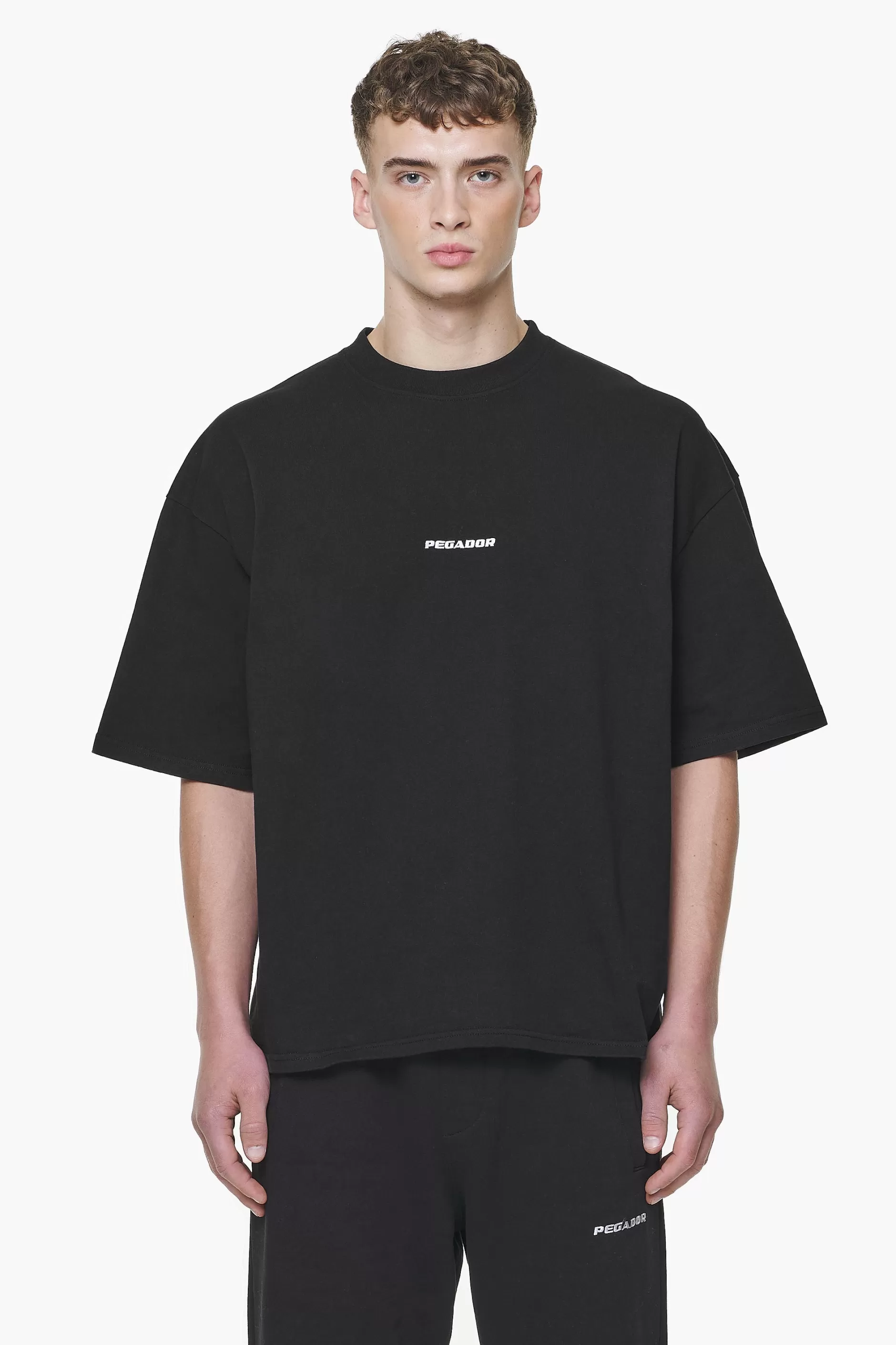 Fashion Pegador Logo Boxy Tee Vintage washed onyx black