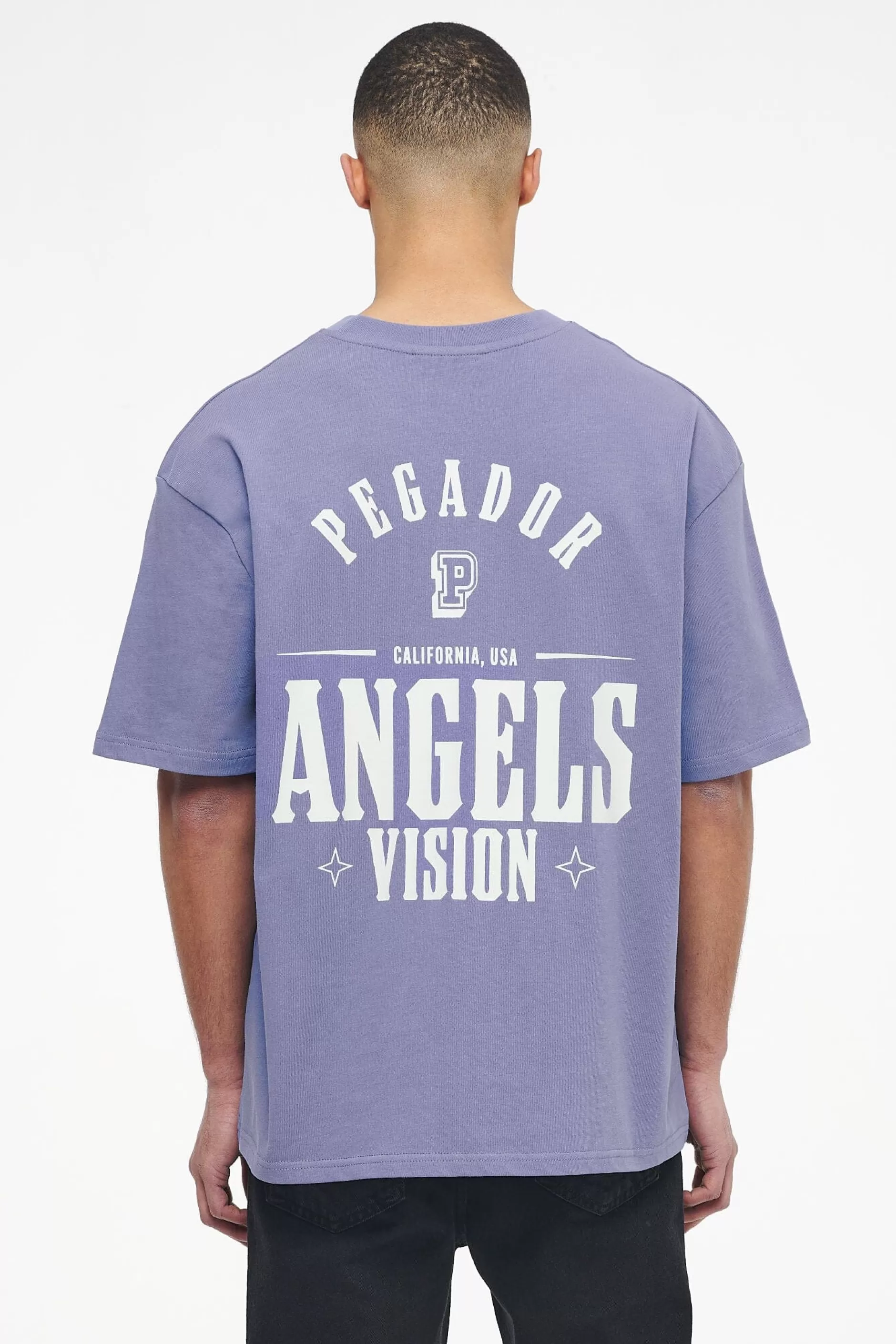 Discount Pegador Salal Oversized Tee Vintage Washed Magic Violet